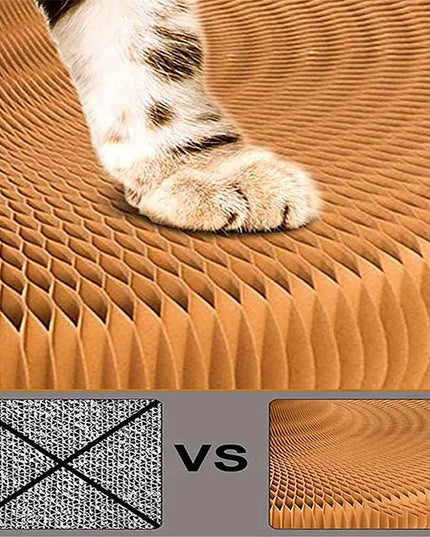 Libiyi Magic Organ Cat Scratch Board. - Libiyi