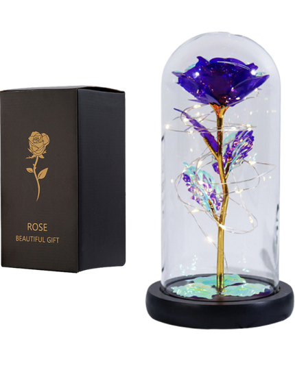 Fanyil Eternal Rose-fr - Libiyi