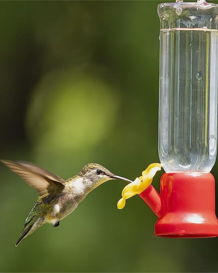 🔥Annual Offer - New Leak-Proof Design Hummingbird Feeder (4 Pack) - Libiyi