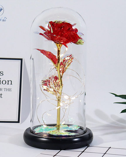 Fanyil Eternal Rose-fr - Libiyi