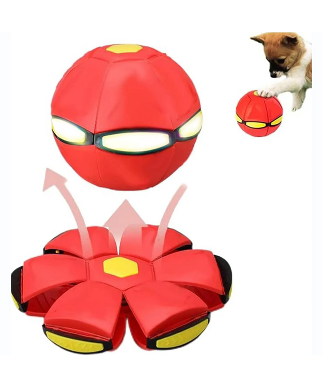 Outfany Doggy Delight Disc # - Libiyi