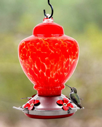 Hand Blown Glass Hummingbird Feeder  - 38 Ounces - Libiyi