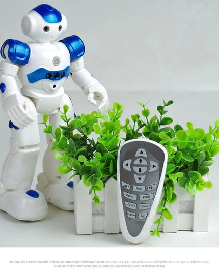 Libiyi LearnioBot - Libiyi