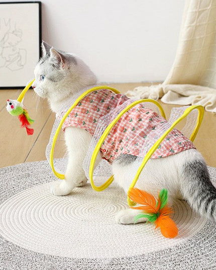 Cat Coil Spring Toy For Indoor Cats - Libiyi