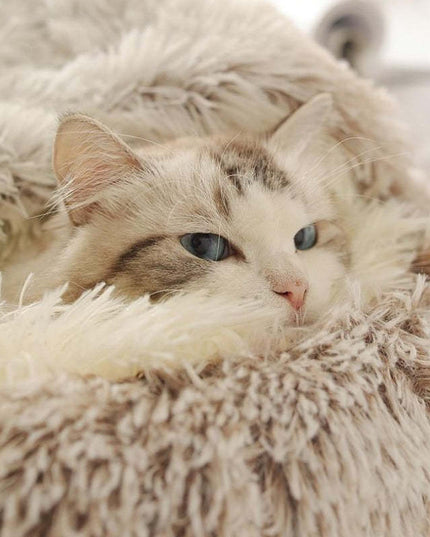 Libiyi CozyPaws - Libiyi