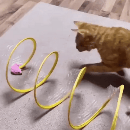 Cat Coil Spring Toy For Indoor Cats - Libiyi