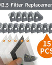 PM2.5filters(15PCS)-39%OFF